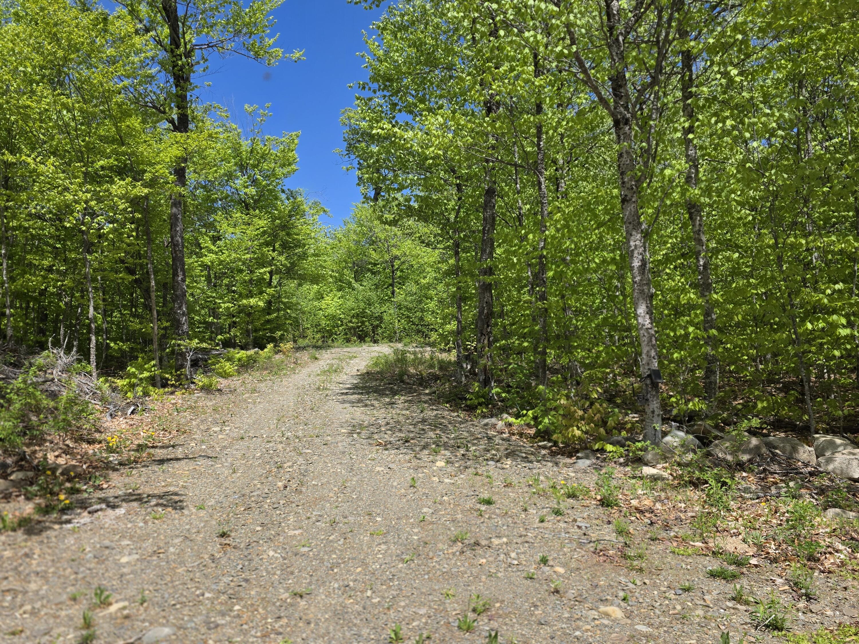 1.86 Lakeside Road Island Falls, ME 04747 - Photo 8 of 29 20260523_132701
