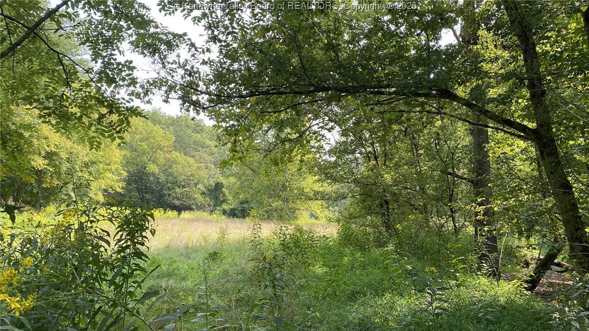 0 Parsoner Creek Road Griffithsville, WV 25521 - Photo 24 of 27 Gallery Image 24