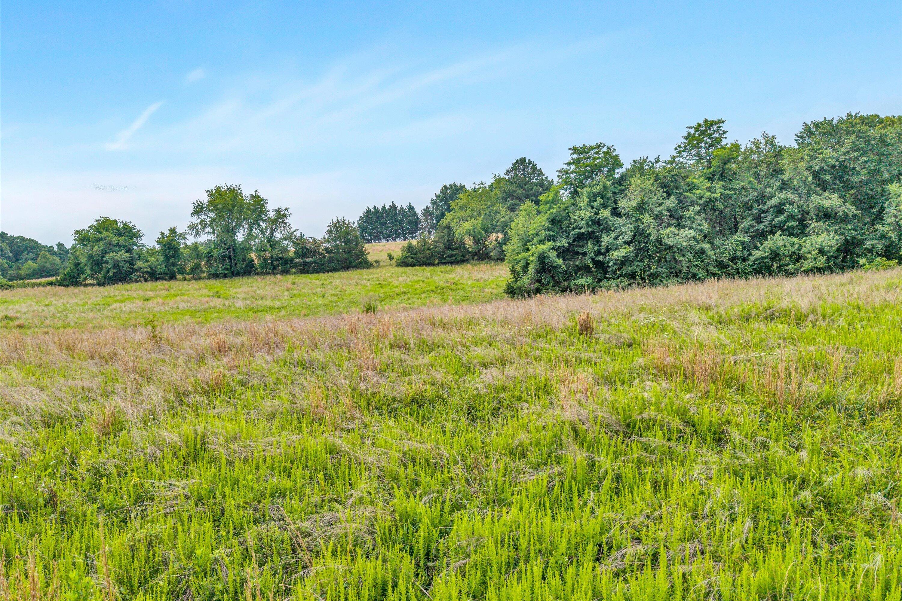 2932 Dickerson Mill Road Bedford, VA 24523 - Photo 57 of 62 58-DJI_20260630112444_0022