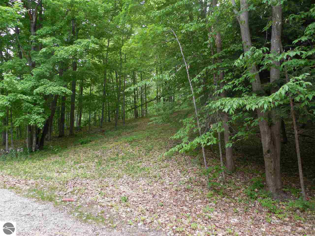 4712 Fortine Road Honor, MI 49640 - Photo 82 of 92 1785353-81.JPG