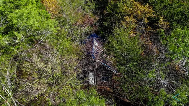 a backyard of a house with lots of trees