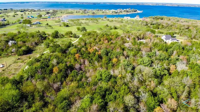 a view of a yard with an outdoor space
