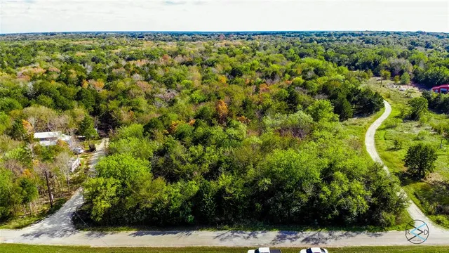a view of yard with green space