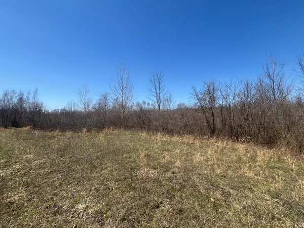 $70,000 | 10-a P1 North Magruder Road, Coleman, MI 48618