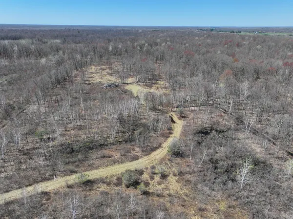 $70,000 | 10-a P1 North Magruder Road, Coleman, MI 48618