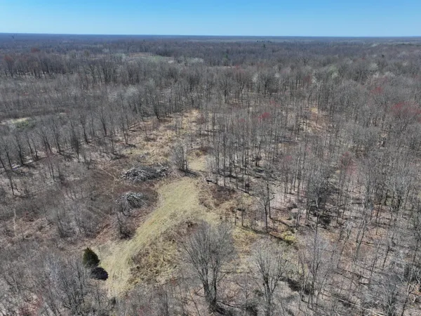 $70,000 | 10-a P1 North Magruder Road, Coleman, MI 48618
