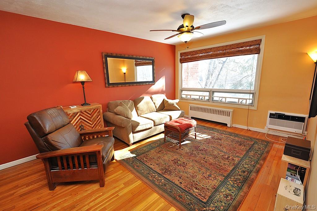 a living room with furniture rug and window