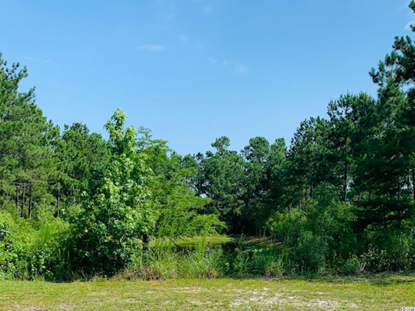 7182 Cartrette Road Aynor, SC 29511 - Photo 2 of 6 Gallery Image 2