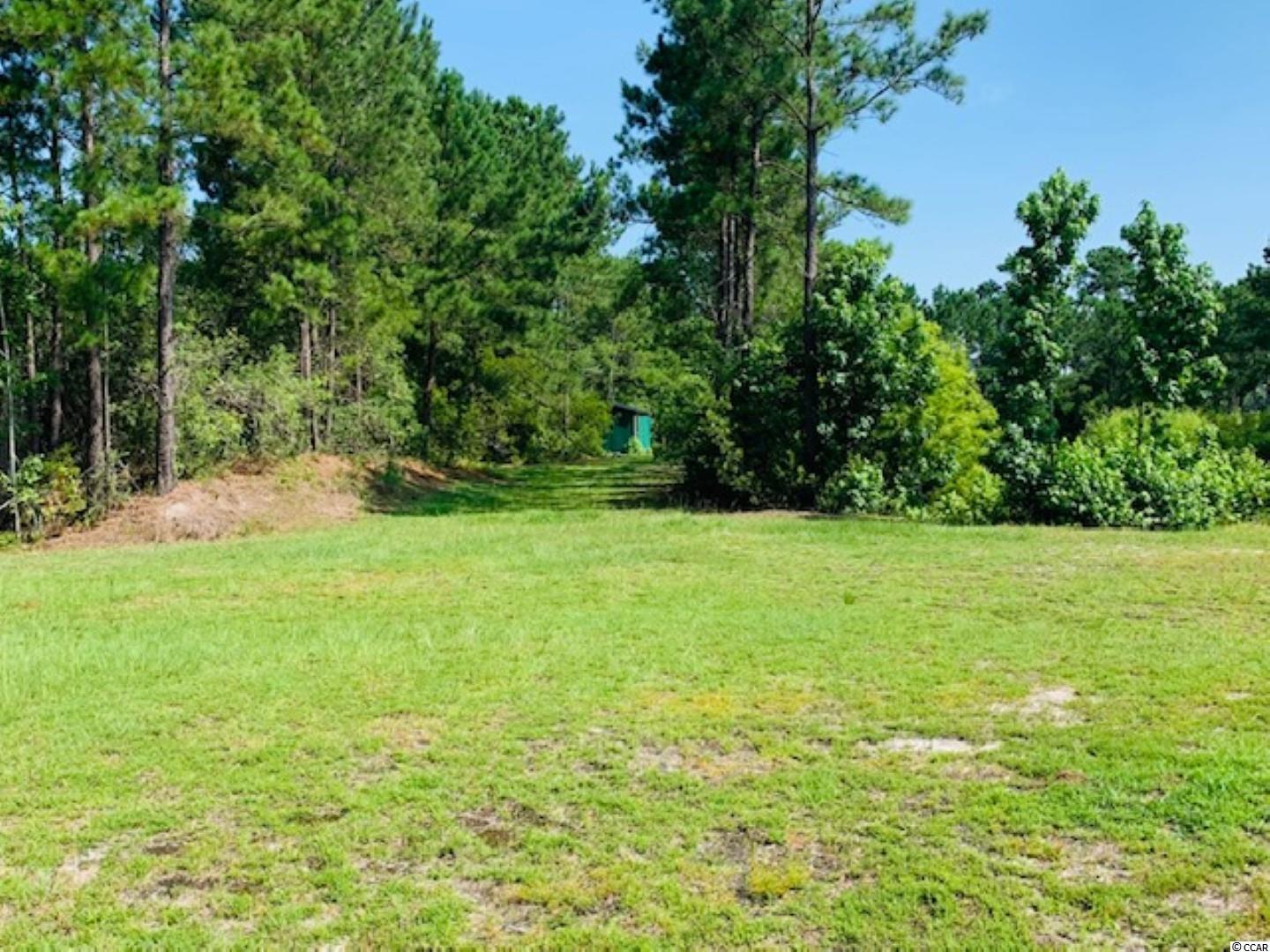 7182 Cartrette Road Aynor, SC 29511 - Photo 3 of 6 Gallery Image 3