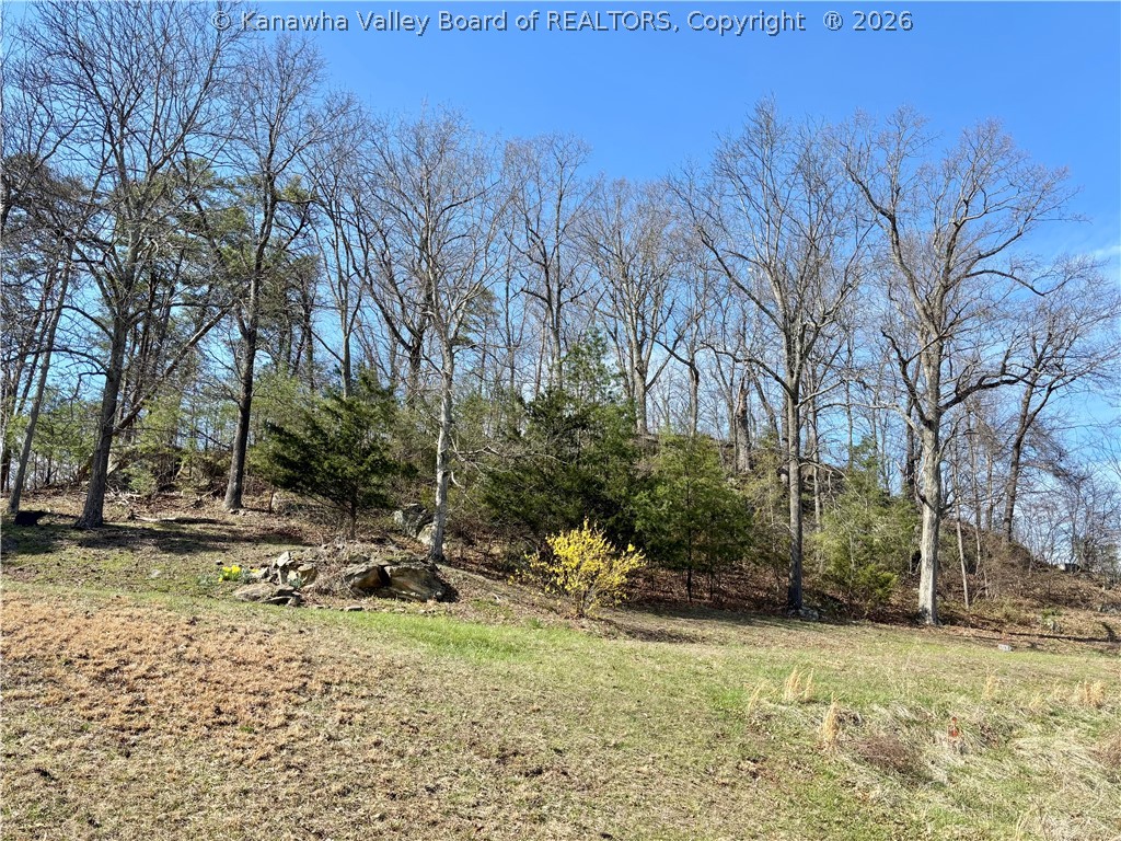 7203 Statts Mills Road Ripley, WV 25271 - Photo 27 of 46 Gallery Image 27