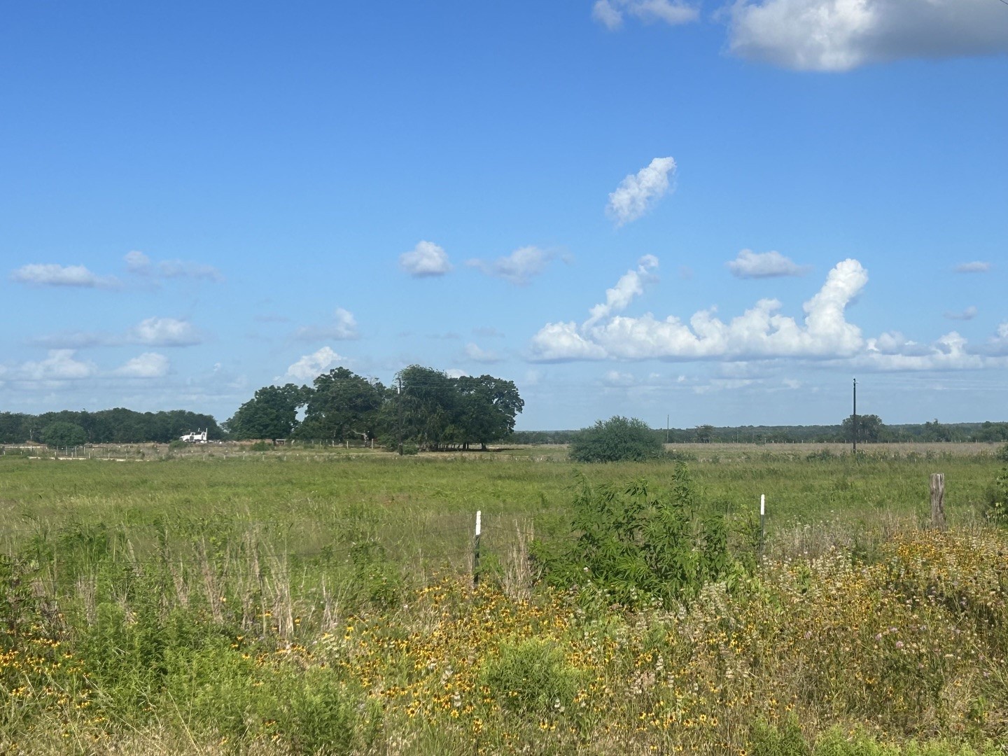 9012 Fm 141 Dime Box, TX 77853 - Photo 9 of 9