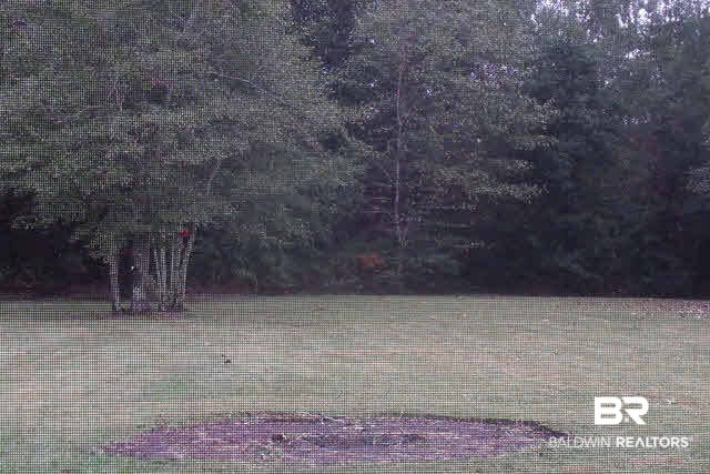 30896 Pine Court Daphne, AL 36527 - Photo 10 of 13