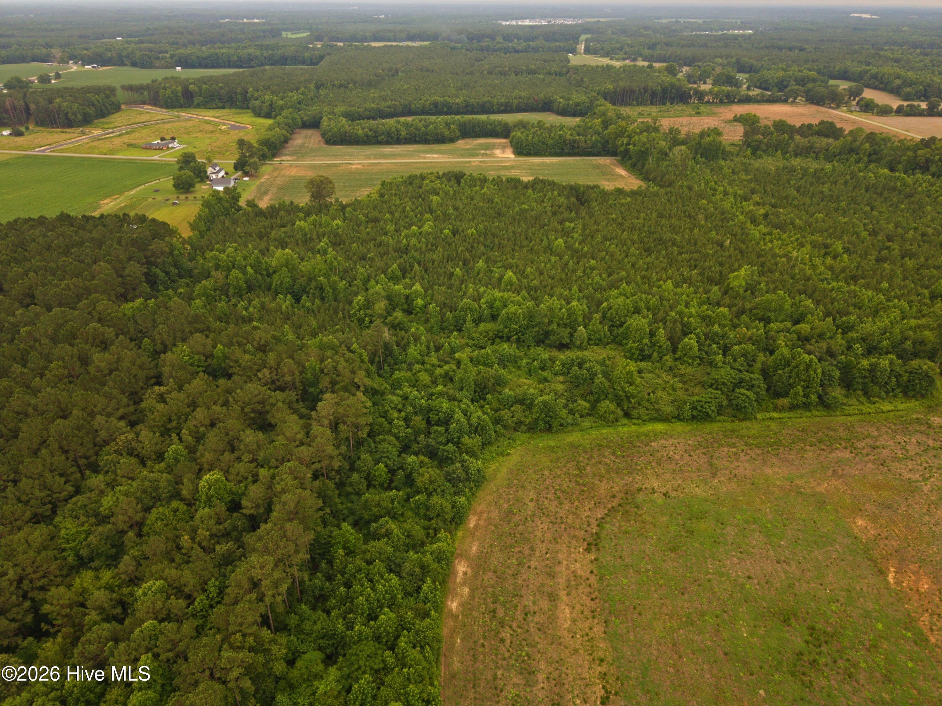 0 Rains Crossroads Road Pikeville, NC 27863 - Photo 4 of 5