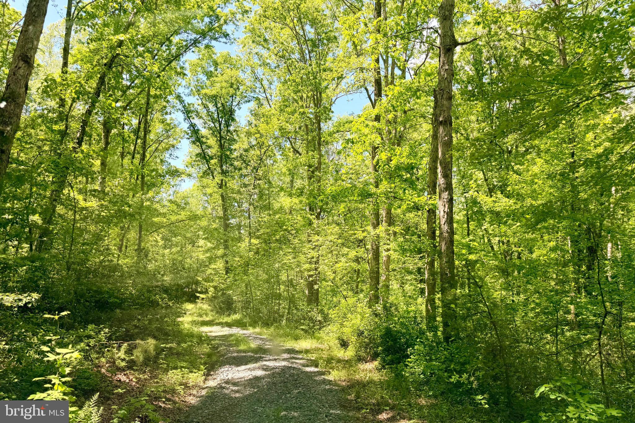 5 Autumn Ridge Lane Unionville, VA 22567 - Photo 2 of 5 Driveway to access the property
