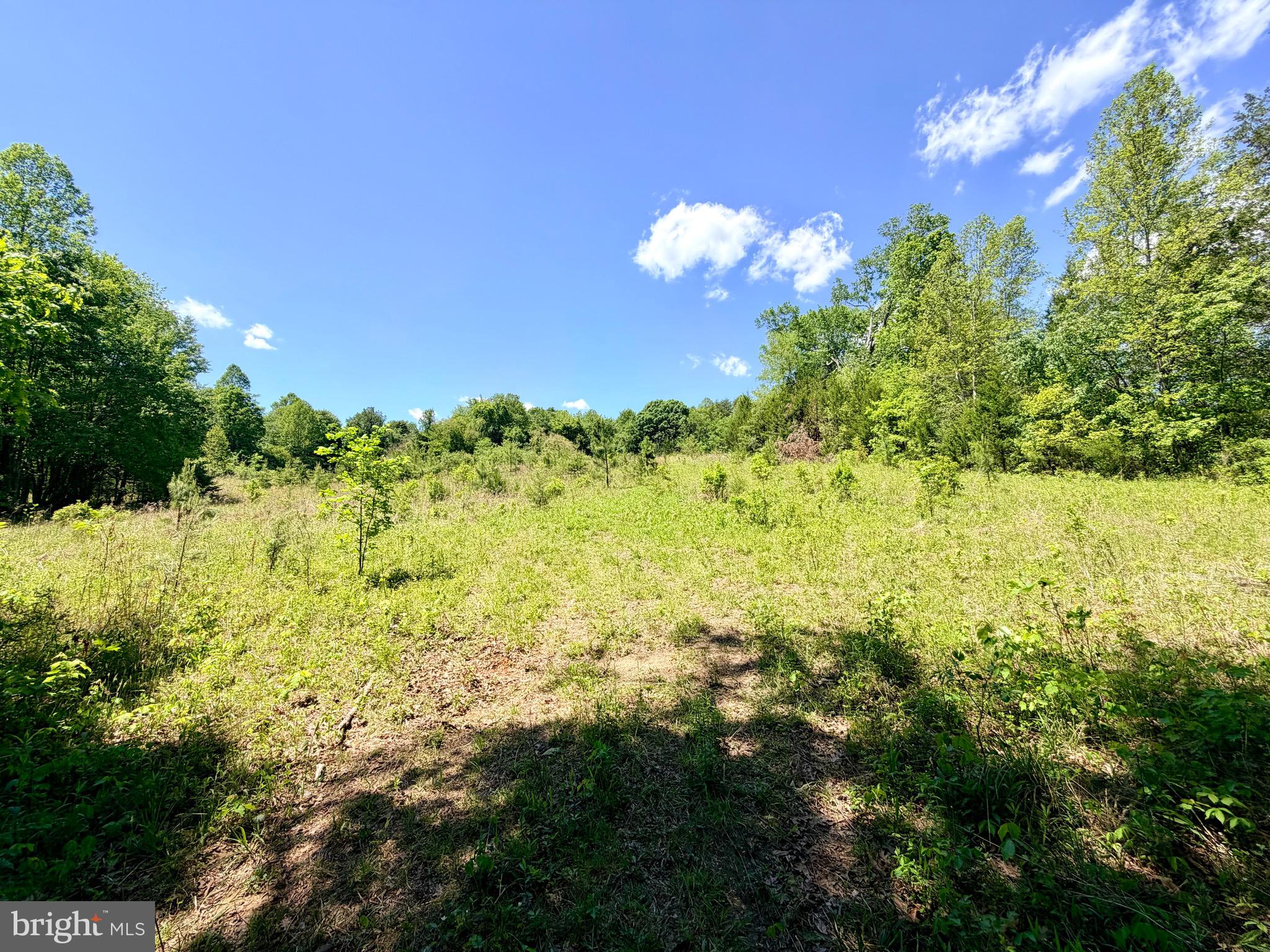 5 Autumn Ridge Lane Unionville, VA 22567 - Photo 3 of 5 To be built