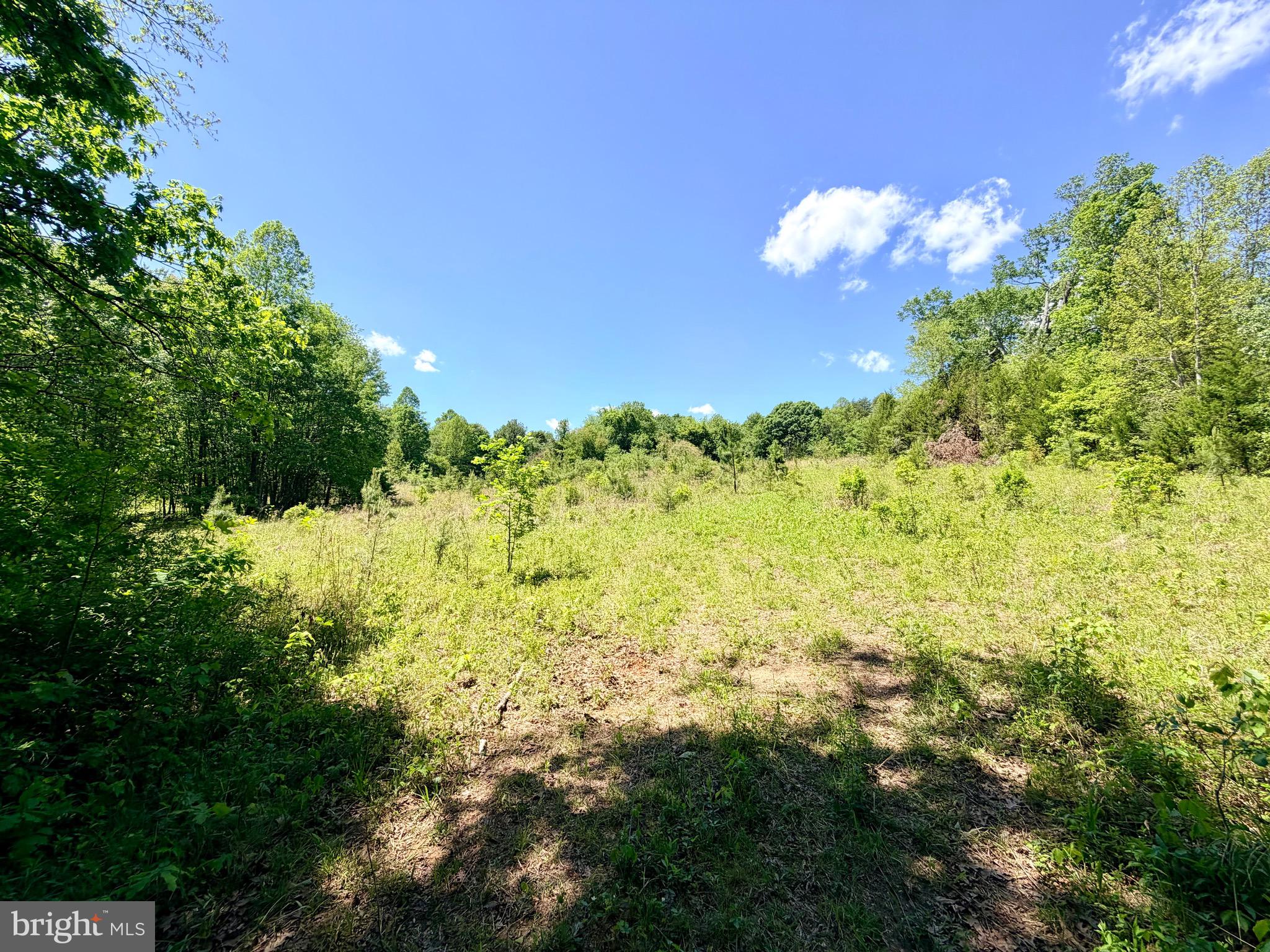5 Autumn Ridge Lane Unionville, VA 22567 - Photo 4 of 5 To be built