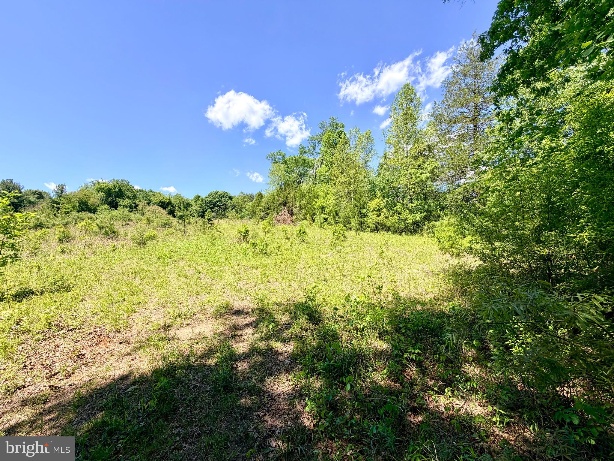 5 Autumn Ridge Lane Unionville, VA 22567 - Photo 5 of 5 To be built