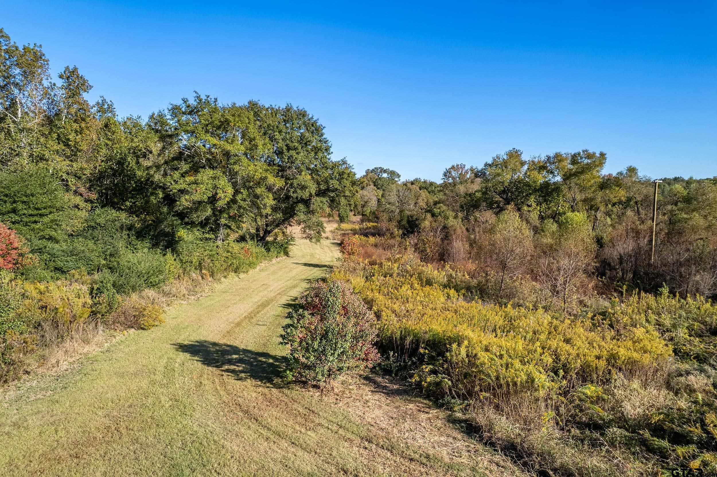 2600 Van Meter Road Kilgore, TX 75662 - Photo 47 of 48 a view of a yard with a tree