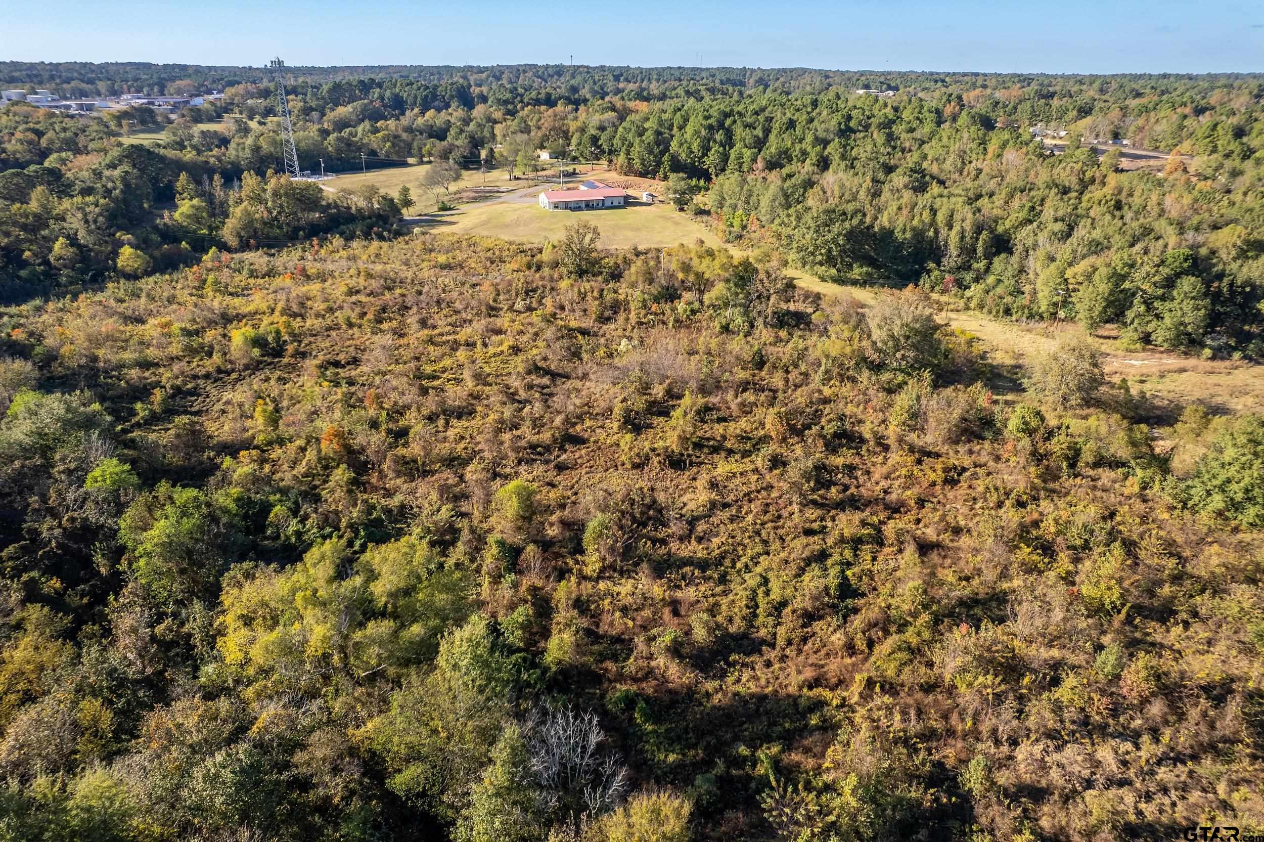2600 Van Meter Road Kilgore, TX 75662 - Photo 48 of 48 a view of a field with trees in the background
