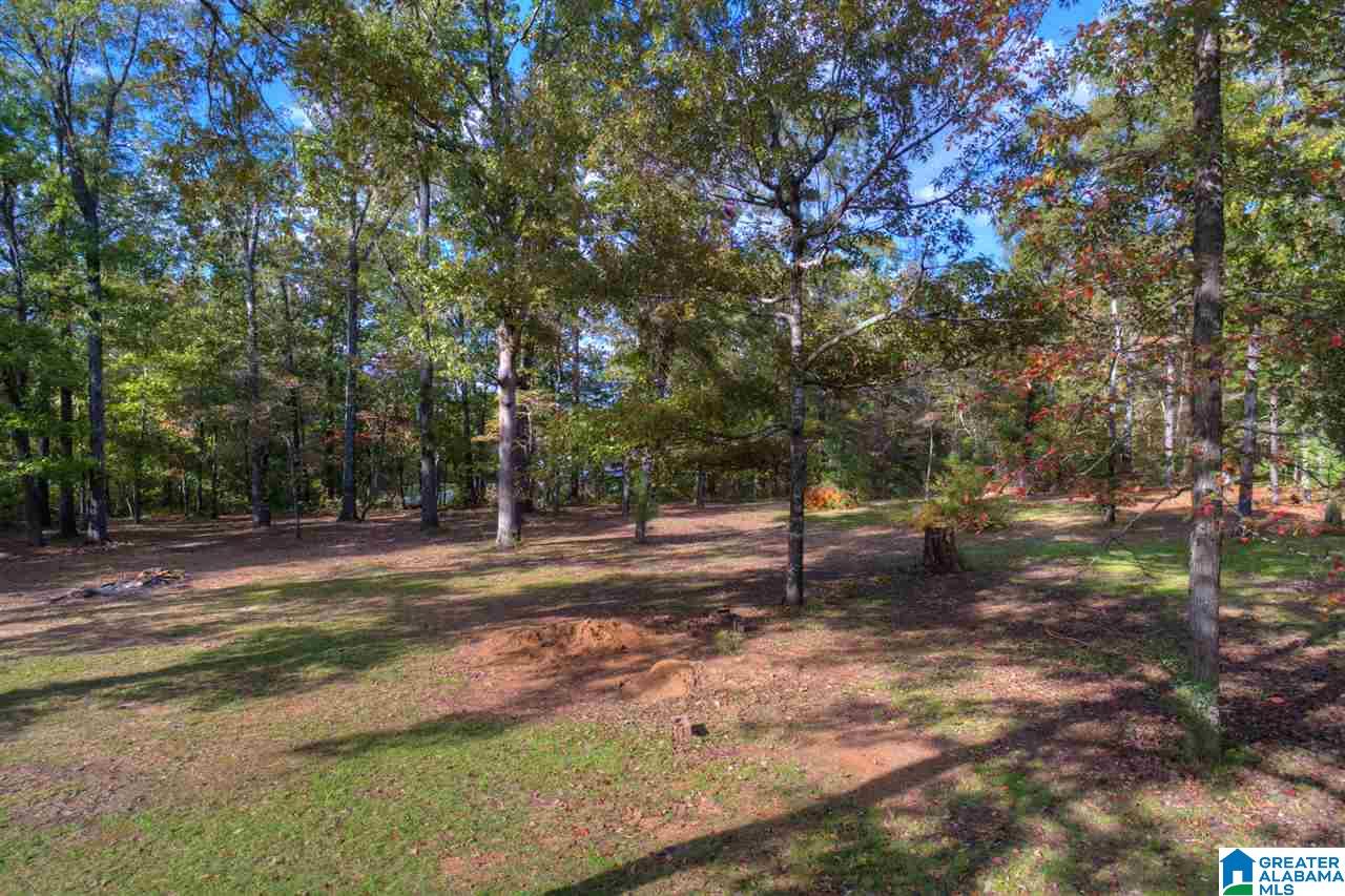 7263 Abernathy Road McCalla, AL 35111 - Photo 8 of 34 Gallery Image 8