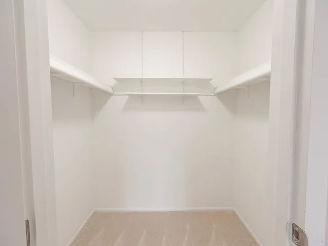 a view of an empty walk in closet