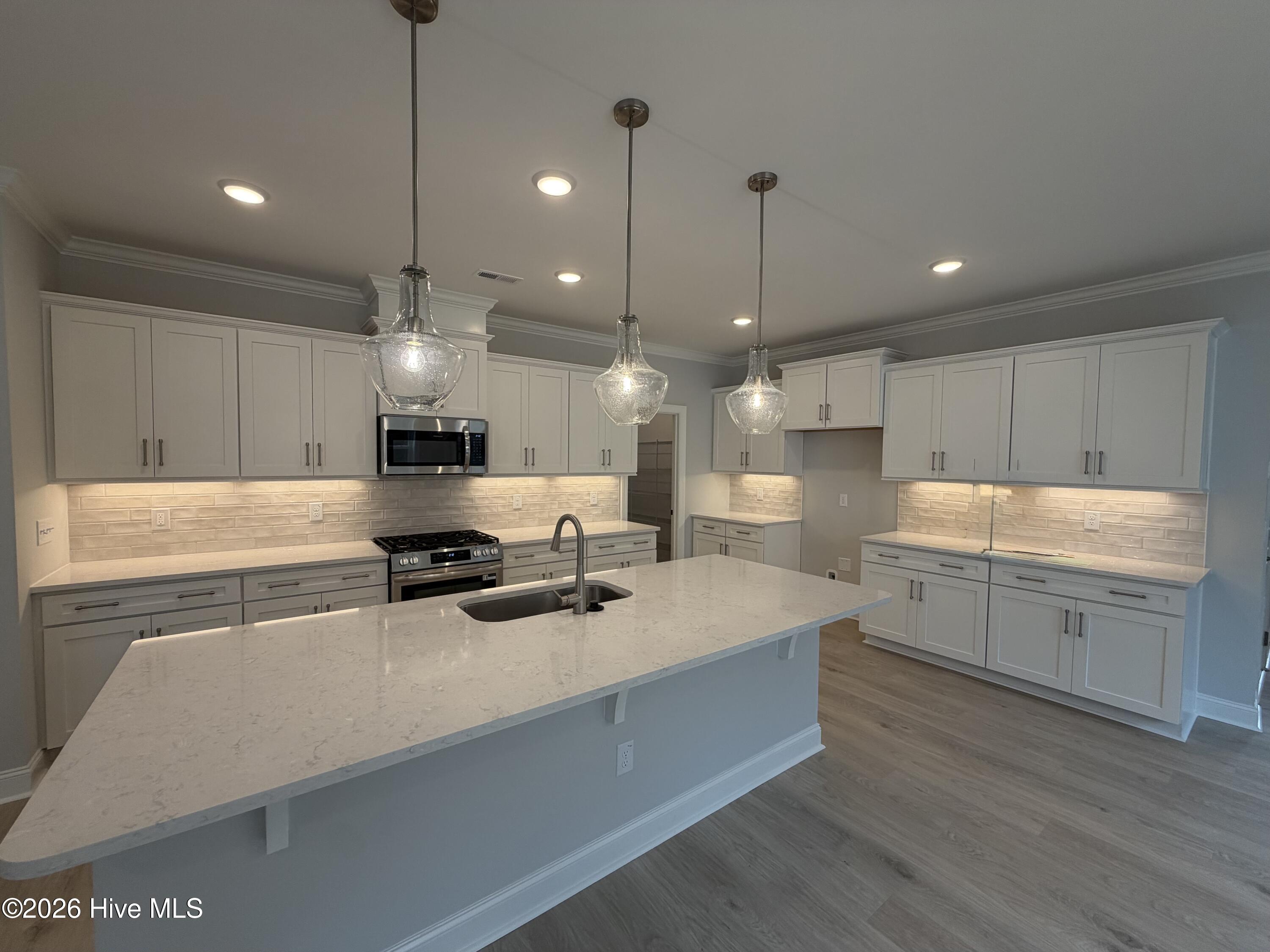 3172 Painted Turtle Loop, Unit 3 Wilmington, NC 28409 - Photo 3 of 19 IMG_8326