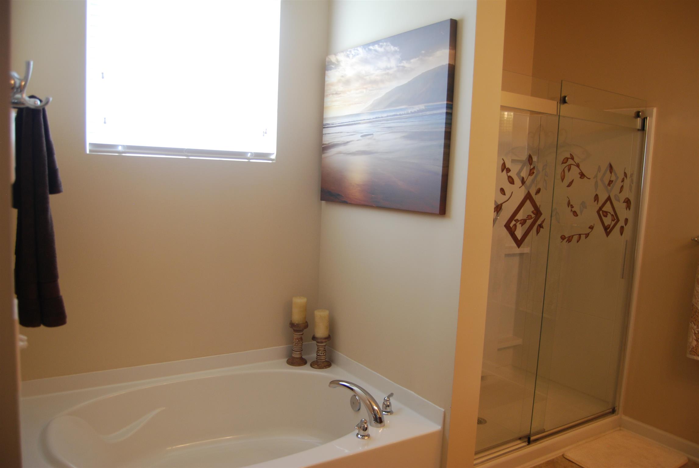 651 Prominence Road Columbia, TN 38401 - Photo 18 of 26 Oversized shower