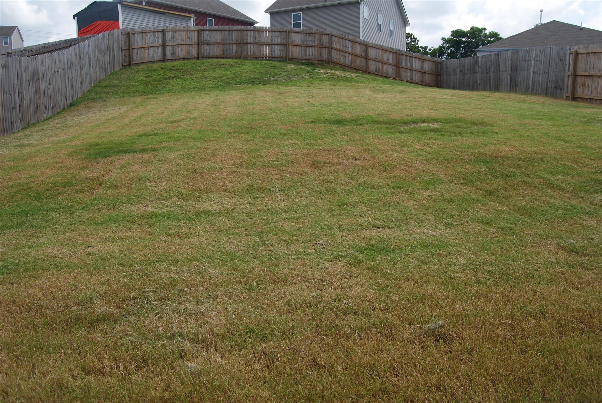 651 Prominence Road Columbia, TN 38401 - Photo 26 of 26 Fully fenced back yard.