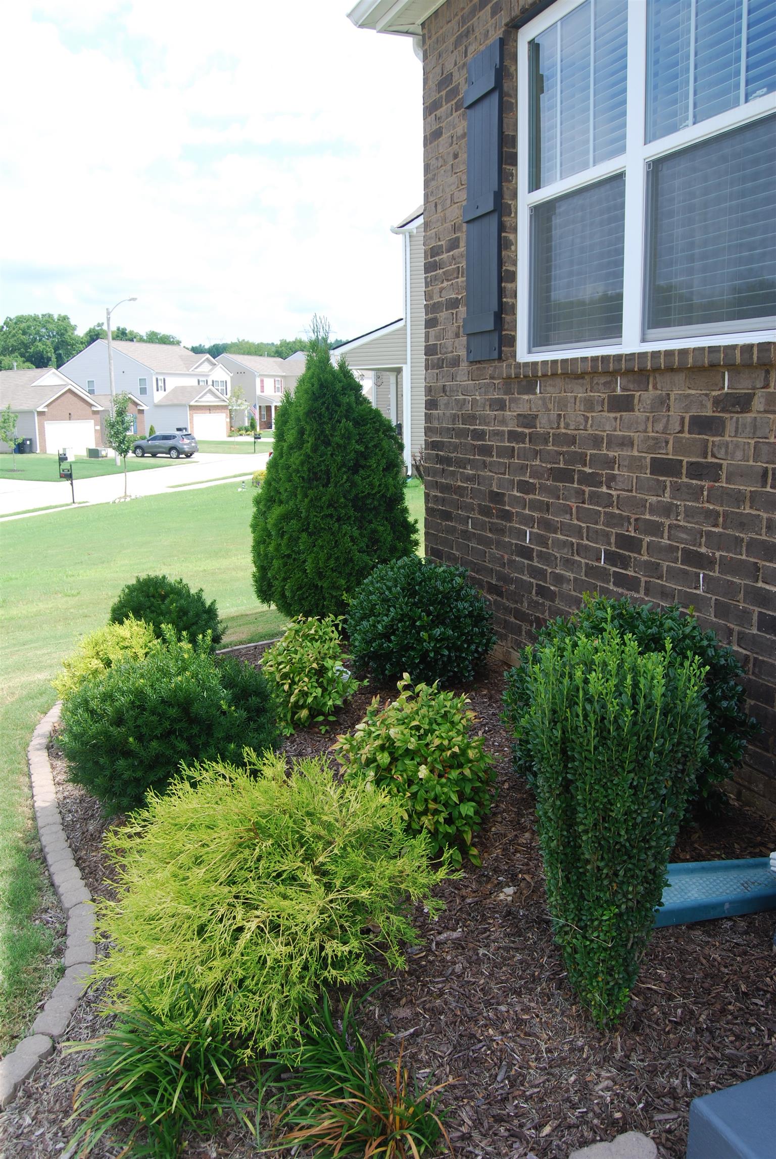 651 Prominence Road Columbia, TN 38401 - Photo 3 of 26 Beautiful established landscaping and craftsman style shutters