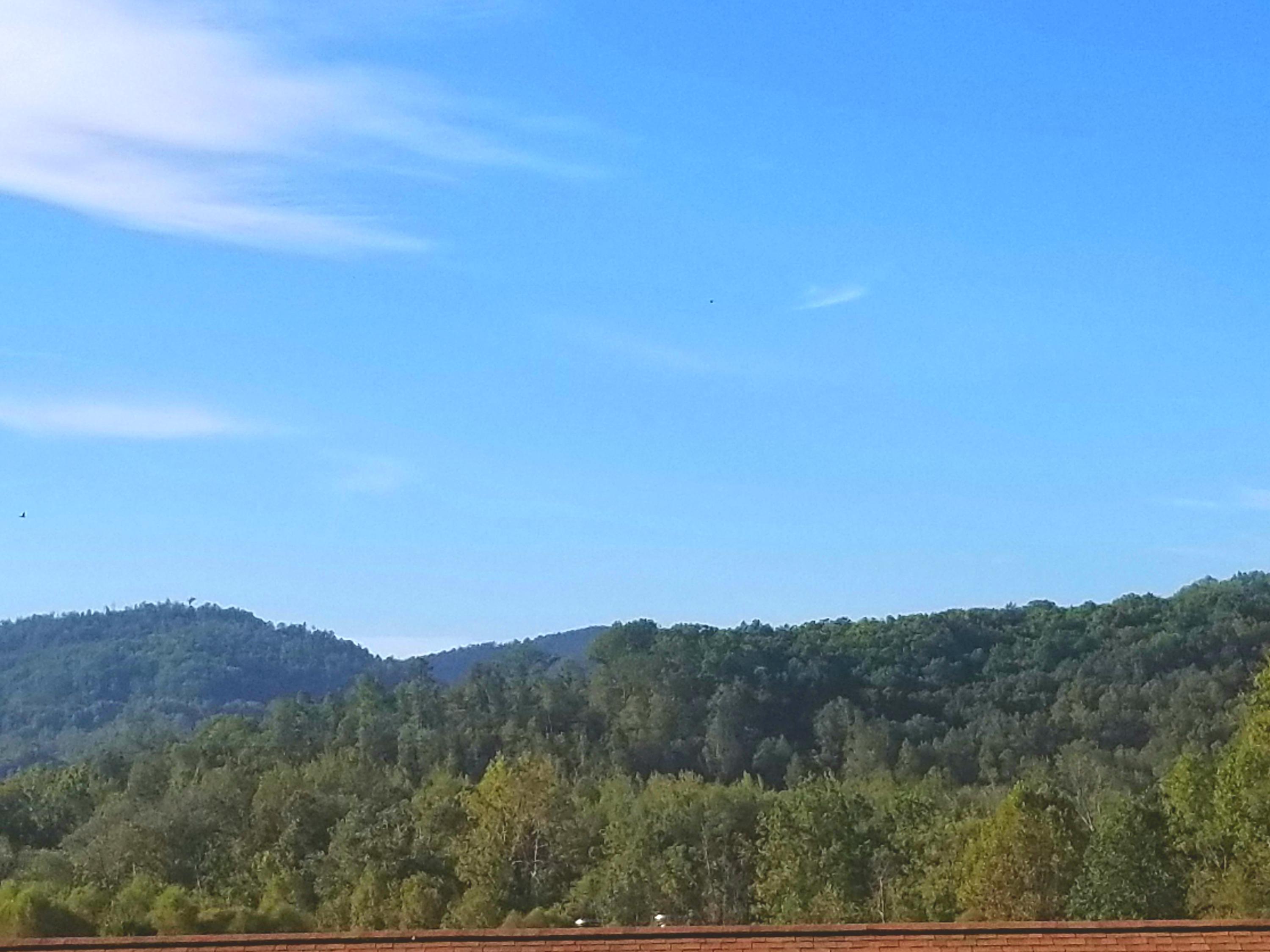 577 Red Cut Road Pioneer, TN 37847 - Photo 3 of 29 red cut mtn views
