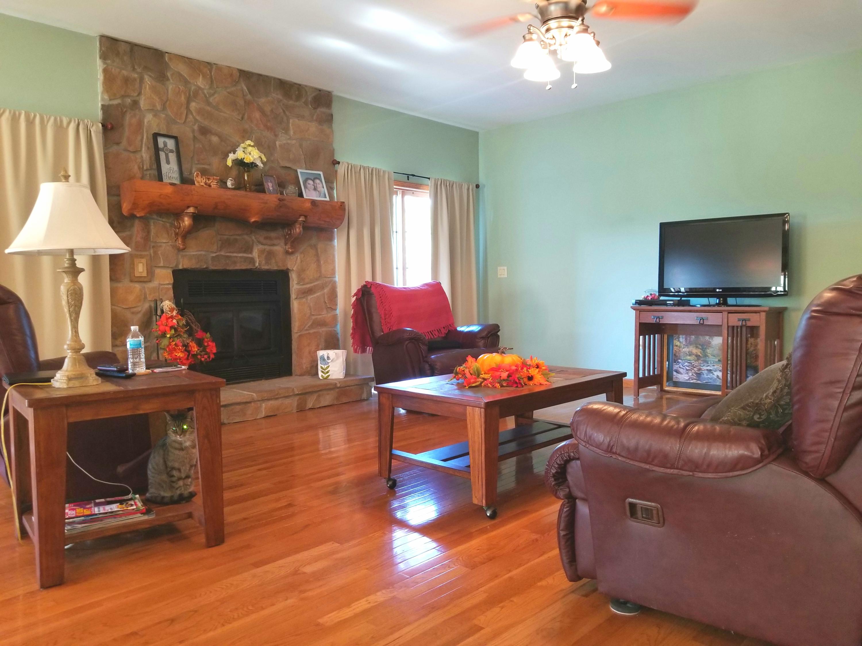 577 Red Cut Road Pioneer, TN 37847 - Photo 9 of 29 Red Cut Large Open Living Room