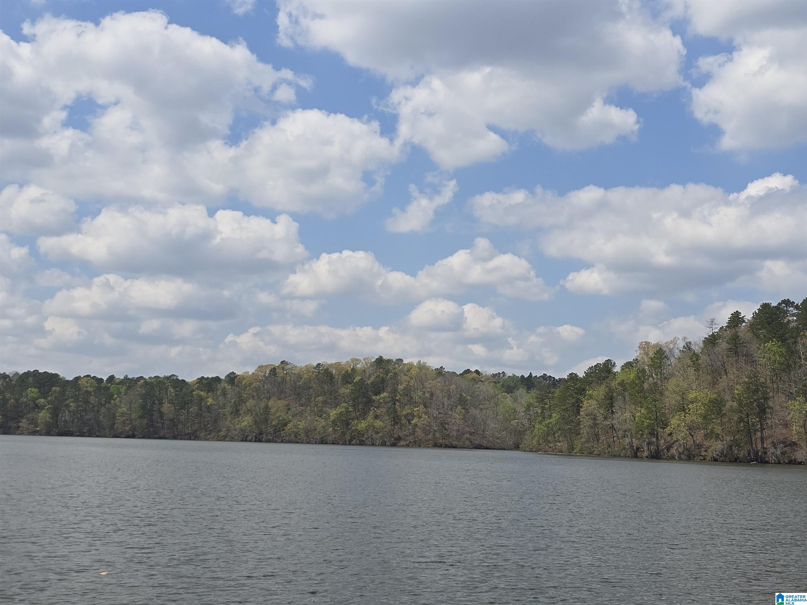 Lot 6 Eagle Mountain Road, Unit 6 Alexander City, AL 35010 - Photo 2 of 2