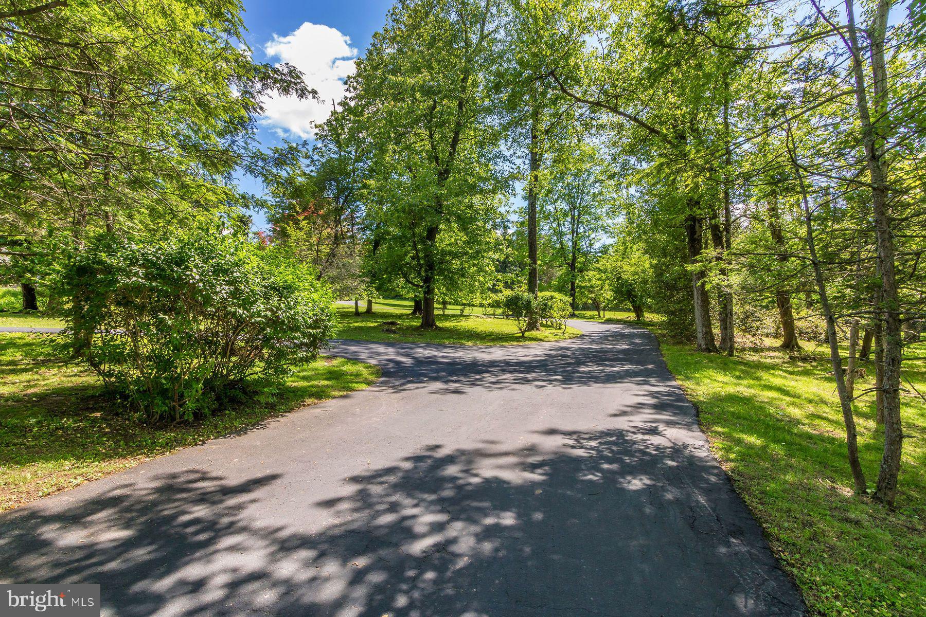 2349 Valley Road Jamison, PA 18929 - Photo 53 of 53 a view of road with large trees