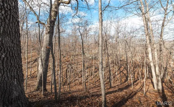 $999,900 | 150 Keysville Street, Cook Sta, MO 65449
