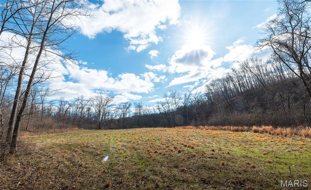 150 Keysville Street Cook Sta, MO 65449 - Photo 85 of 87