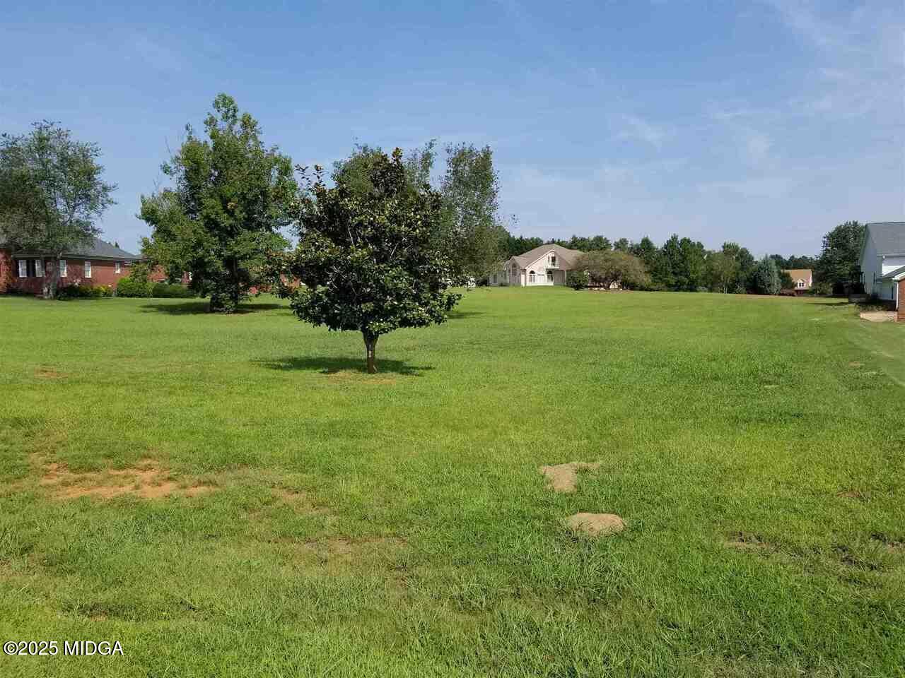 0 Mallard Lane Locust Grove, GA 30248 - Photo 3 of 27 a lush green field with lots of trees in the background