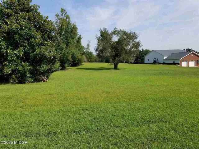 a view of a field of grass and trees