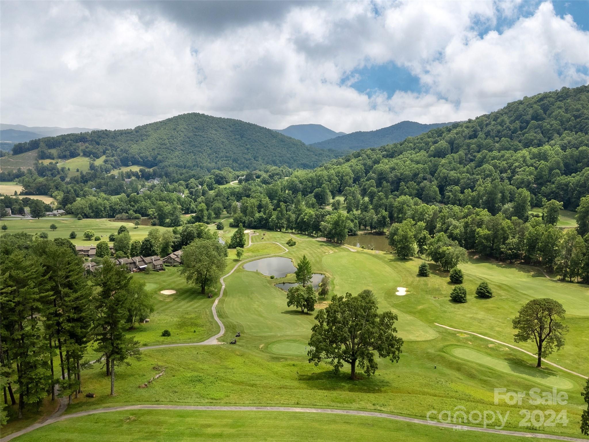 28 Chestnut Ridge Road, Unit 228 Mills River, NC 28759 - Photo 41 of 48 a view of a city