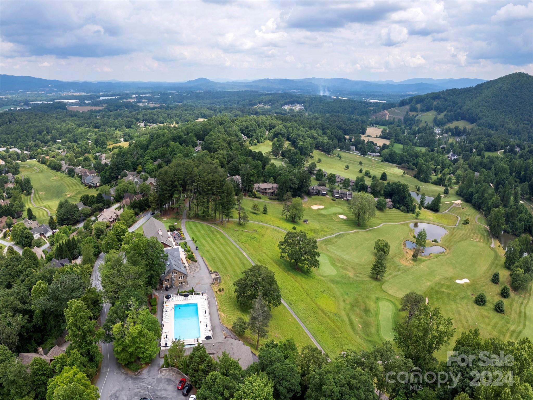28 Chestnut Ridge Road, Unit 228 Mills River, NC 28759 - Photo 44 of 48 an aerial view of lake residential house with swimming pool and green space