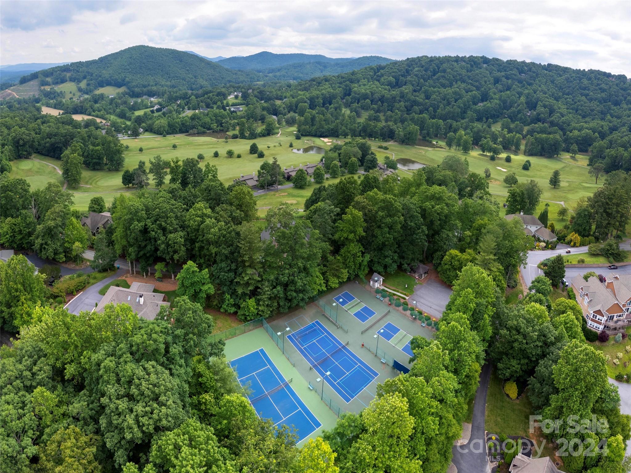 28 Chestnut Ridge Road, Unit 228 Mills River, NC 28759 - Photo 45 of 48 an aerial view of a house with yard