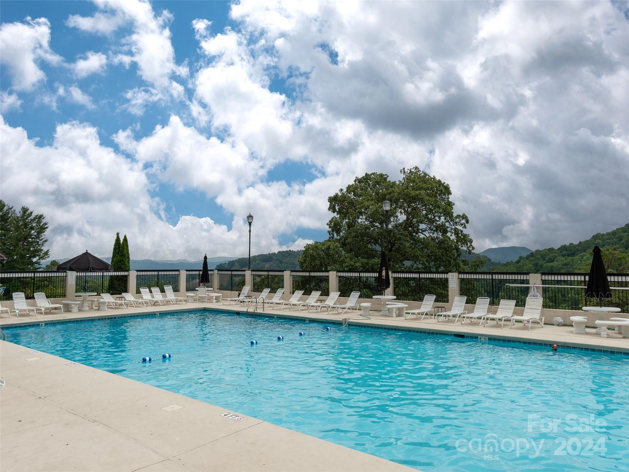 28 Chestnut Ridge Road, Unit 228 Mills River, NC 28759 - Photo 46 of 48 a view of a swimming pool with a lake view