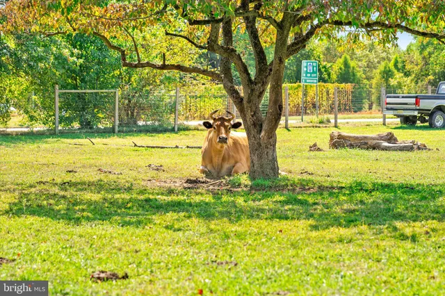 $1,200,000 | 537 Arneytown-chesterfield Road, Chesterfield, NJ 08515