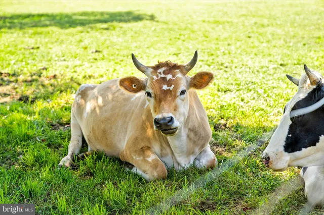 $1,200,000 | 537 Arneytown-chesterfield Road, Chesterfield, NJ 08515