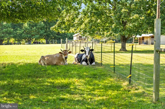 $1,200,000 | 537 Arneytown-chesterfield Road, Chesterfield, NJ 08515