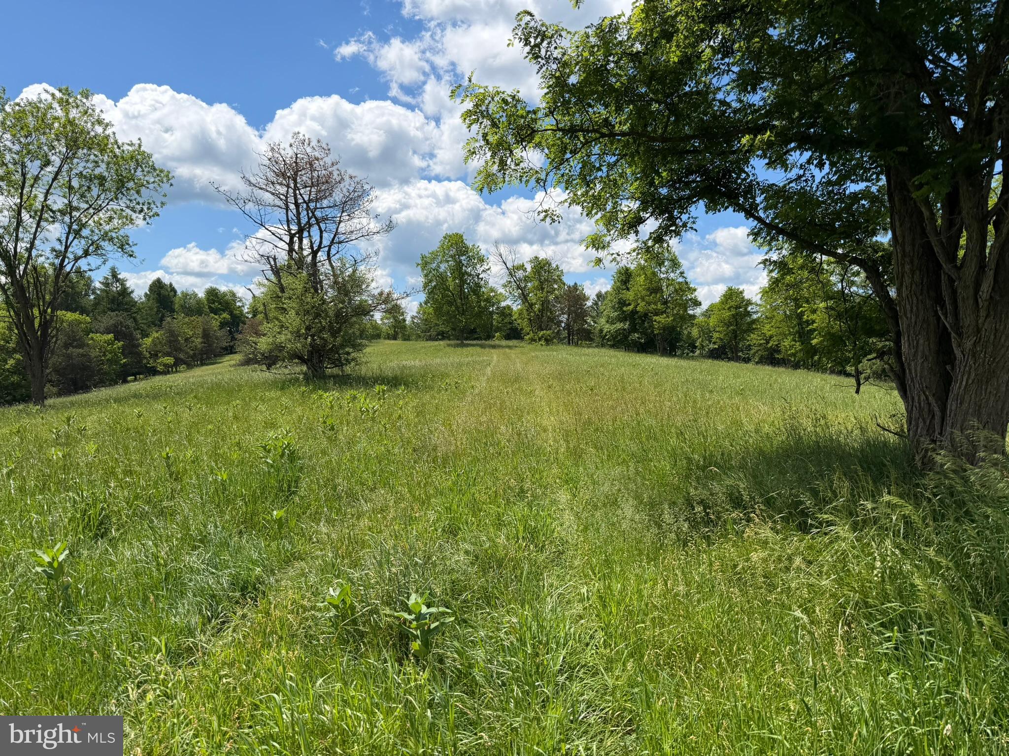 848 Sugar Camp Road Clearfield, PA 16830 - Photo 50 of 118