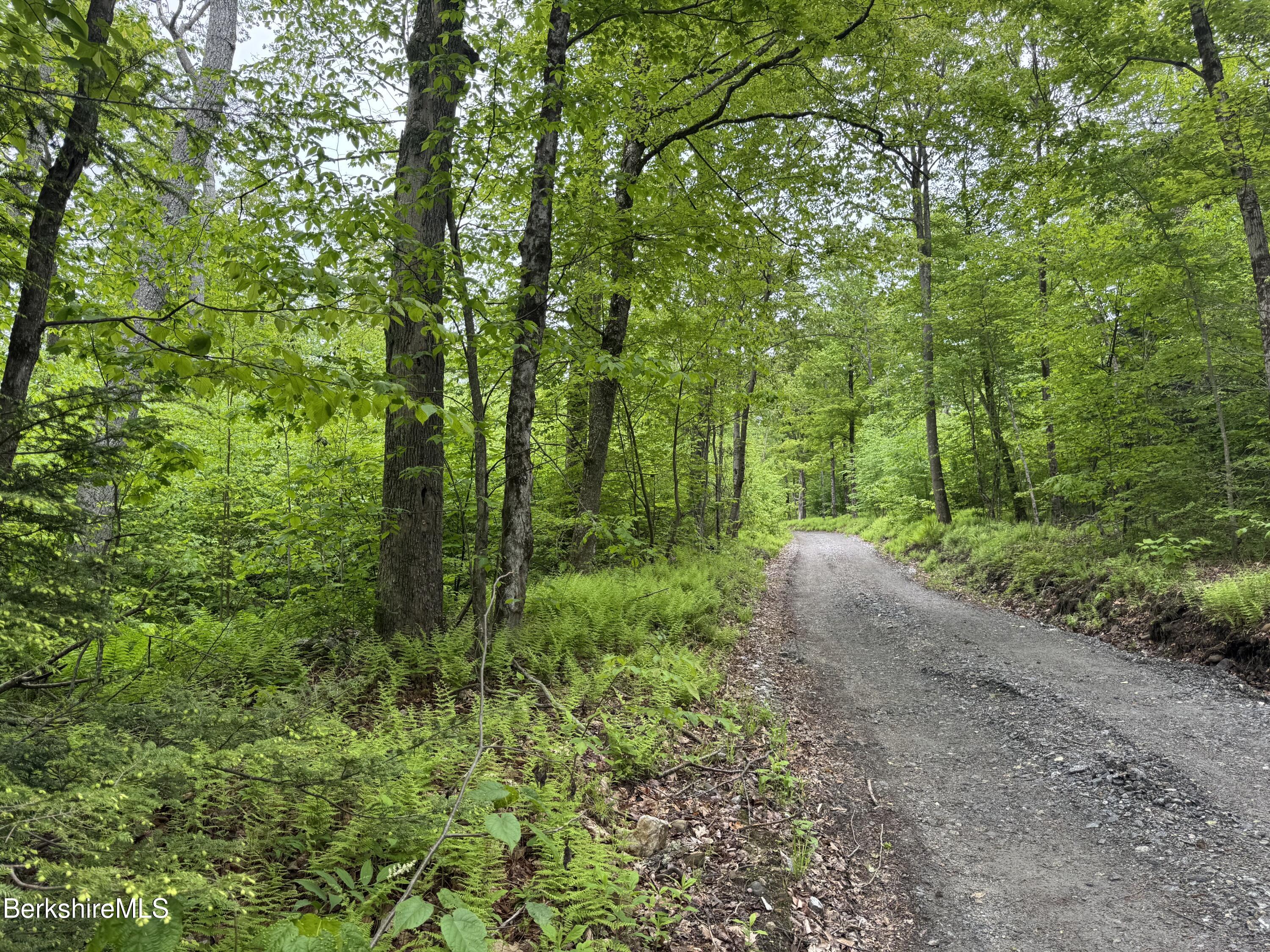Lot ''b'' Beulah Land Road Blandford, MA 01008 - Photo 9 of 18 IMG_4581