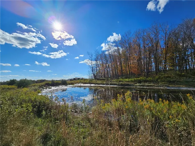 $220,000 | 1748 Leonard Road, Troupsburg, NY 14885