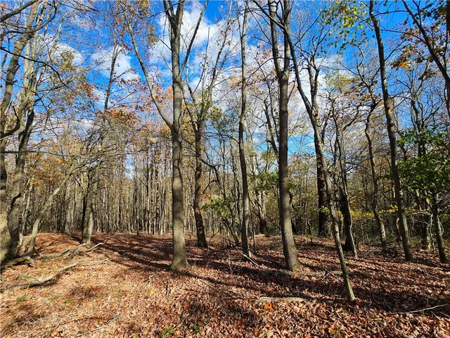 $220,000 | 1748 Leonard Road, Troupsburg, NY 14885