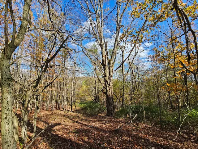 $220,000 | 1748 Leonard Road, Troupsburg, NY 14885