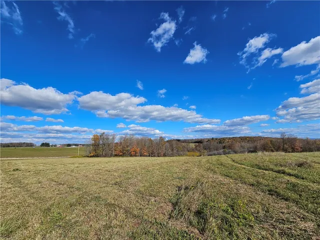 $220,000 | 1748 Leonard Road, Troupsburg, NY 14885